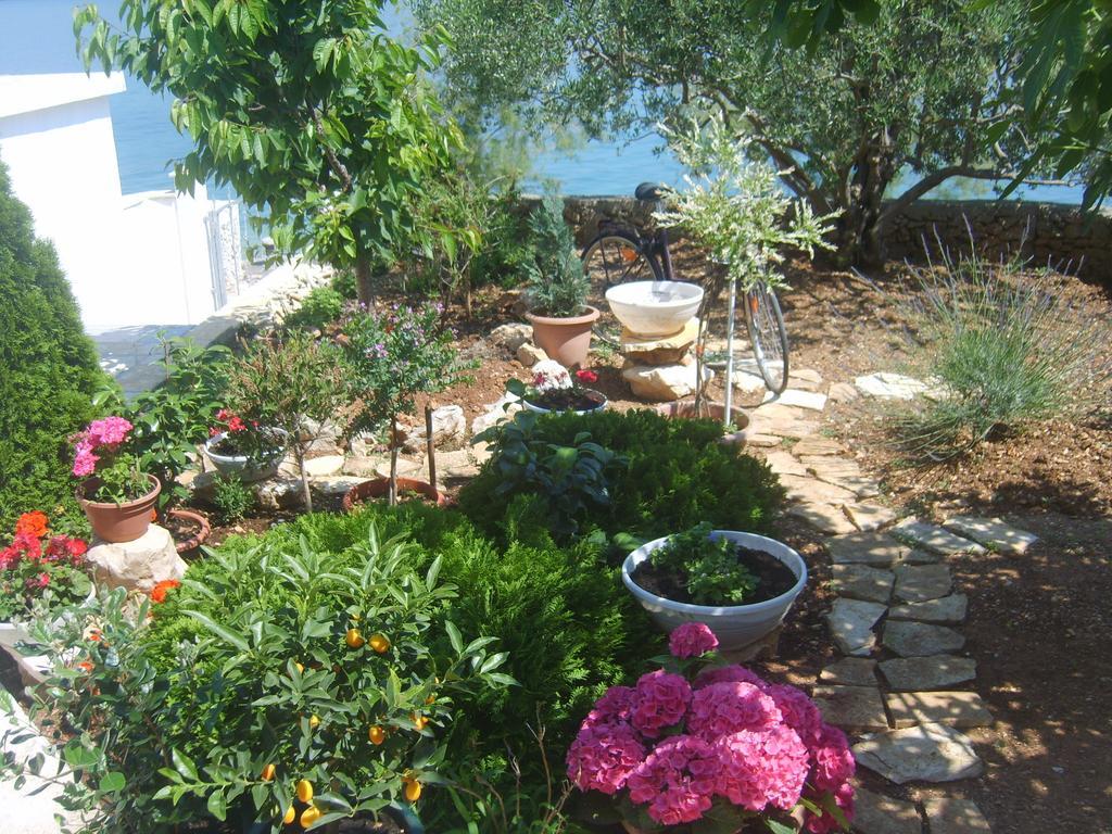 Apartments Iva Alla تروغير الغرفة الصورة